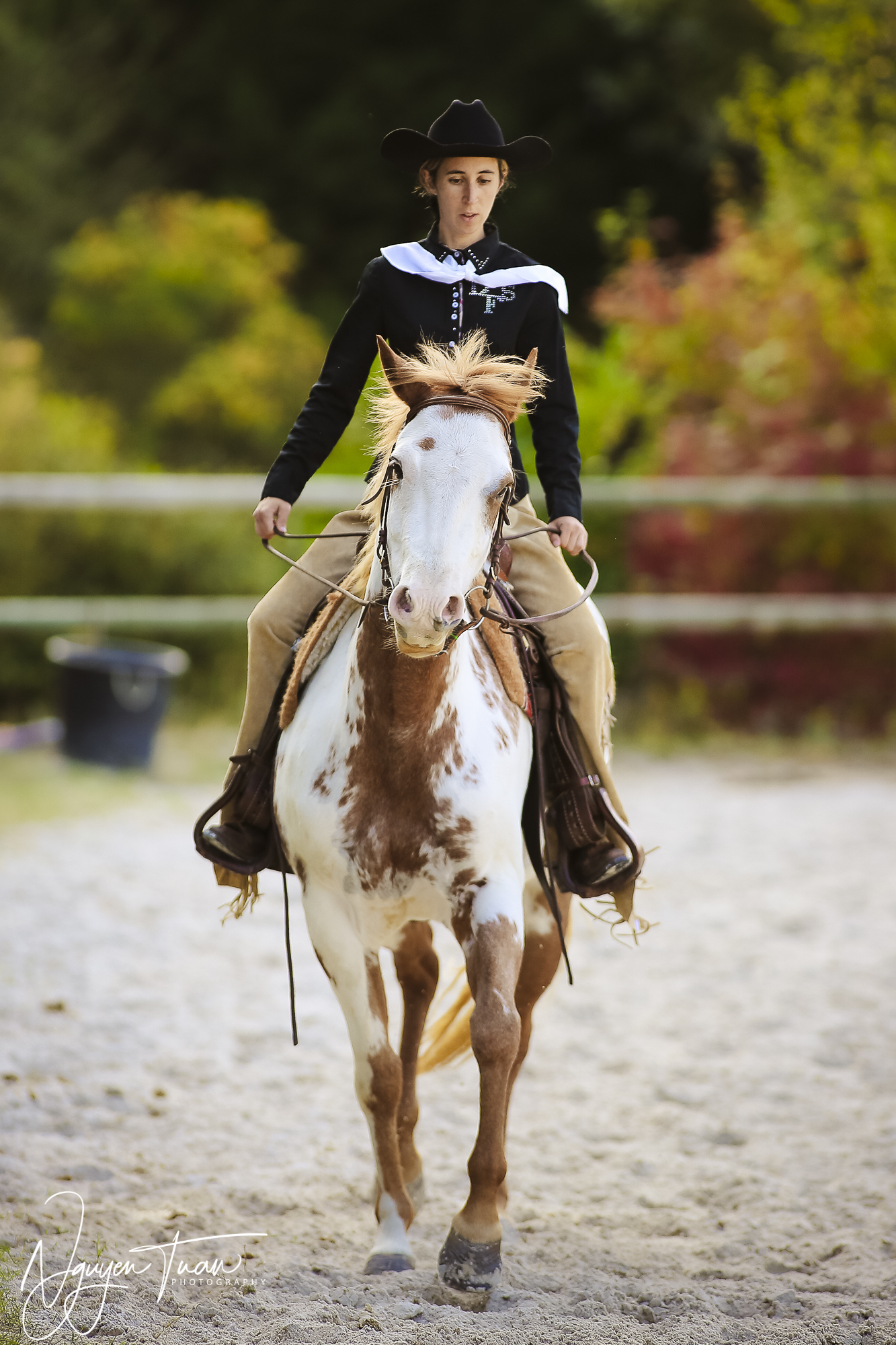 American Horse    0457